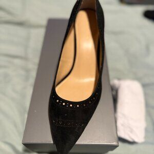 Ann Taylor Suede Pointy Toe Pumps Brand New!